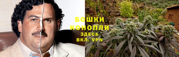 соль ск Волосово