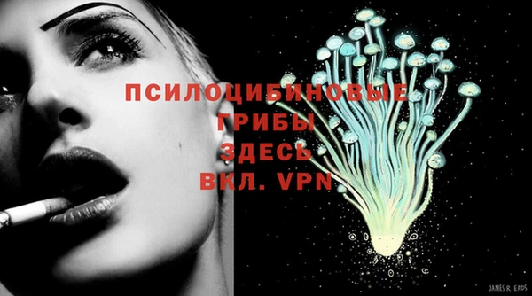 соль ск Волосово