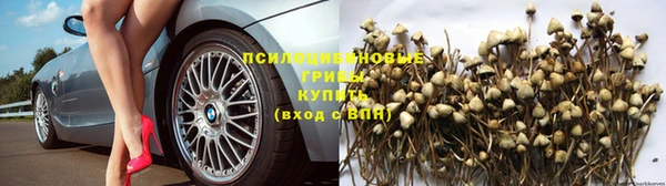 а пвп мука Володарск