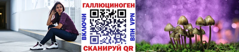 где можно купить   Элиста  Галлюциногенные грибы Cubensis 