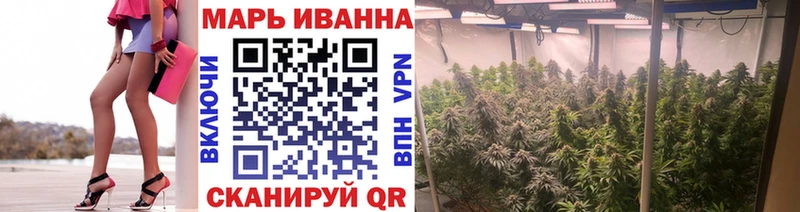 Бошки Шишки Amnesia  Элиста 